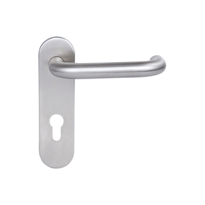Packplate Lever Handle SS2003